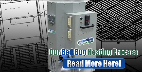 Chemical-Free Bed Bug Treatment in Philly, How to Get Rid of Bed Bugs in Philly, Bed Bug Heat Treatment in Philly