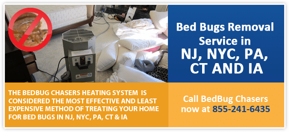 Chemical-Free Bed Bug Treatment in Delaware County, PA, How to Get Rid of Bed Bugs in Delaware County, PA, Bed Bug Heat Treatment in Delaware County, PA