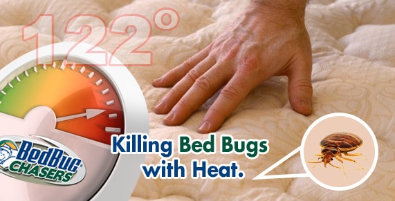 KillingBedBugsWithHeat-Slider1.jpg