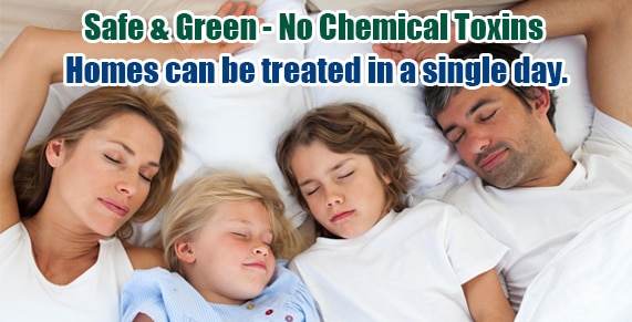 Chemical Free Philly Bed Bug Treatment , Chemical Free Bed Bug Treatment Philly , Get Rid of Bed Bugs Philly , Bed Bug Spray Philly , What to do Bed Bugs look like Philly , Kill Bed Bugs Philly , Bed Bug Treatment Philly , Bed Bug Dog Philly , How to get Rid of Bed Bugs Philly , Bed Bug Heat Treatment Philly , Bed Bug Eggs Philly , Bed Bug Exterminator Philly ,