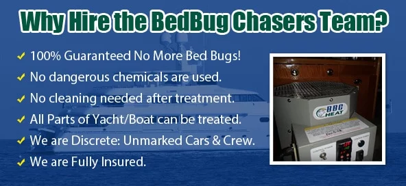 Bed Bug heat treatment Dublin PA , Bed Bug images Dublin PA , Bed Bug exterminator Dublin PA