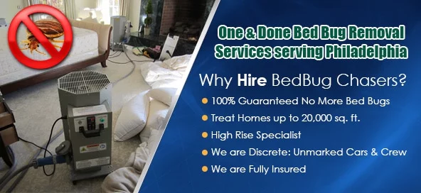 Non-toxic Bed Bug treatment Falls PA, bugs in bed Falls PA, kill Bed Bugs Falls PA